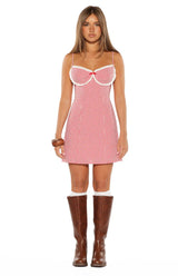 Please Red Gingham Mini Dress