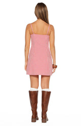 Please Red Gingham Mini Dress